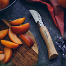 Opinel N°07 kastanj vitlök vikbar fickkniv 12C27 blad valnötshandtag