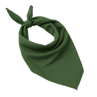 Överskottsbandanas