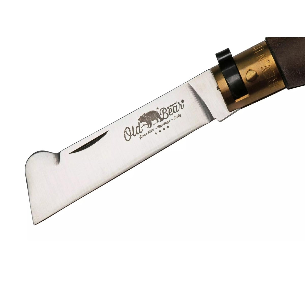 Antonini Old Bear Folding Ympkniv 7,5cm Rostfritt stål Valnötshandtag