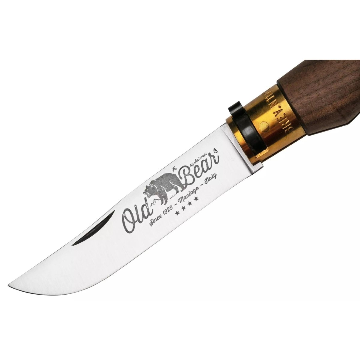Antonini Old Bear Fickkniv 10cm Rostfritt stål Blad Valnötsträ Handtag