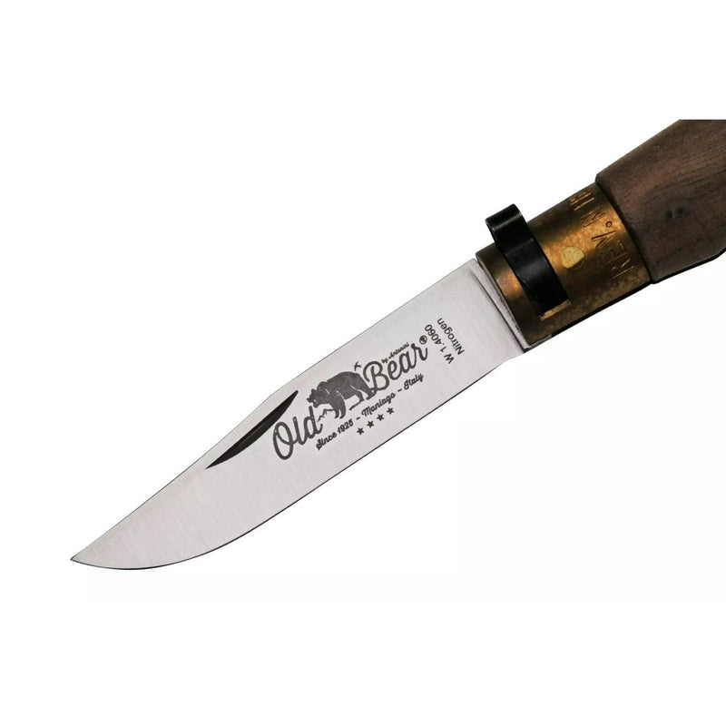 Antonini Old Bear Pocket Knife 7cm Stainless Steel Blade Walnut Wood Handle - GoMilitar