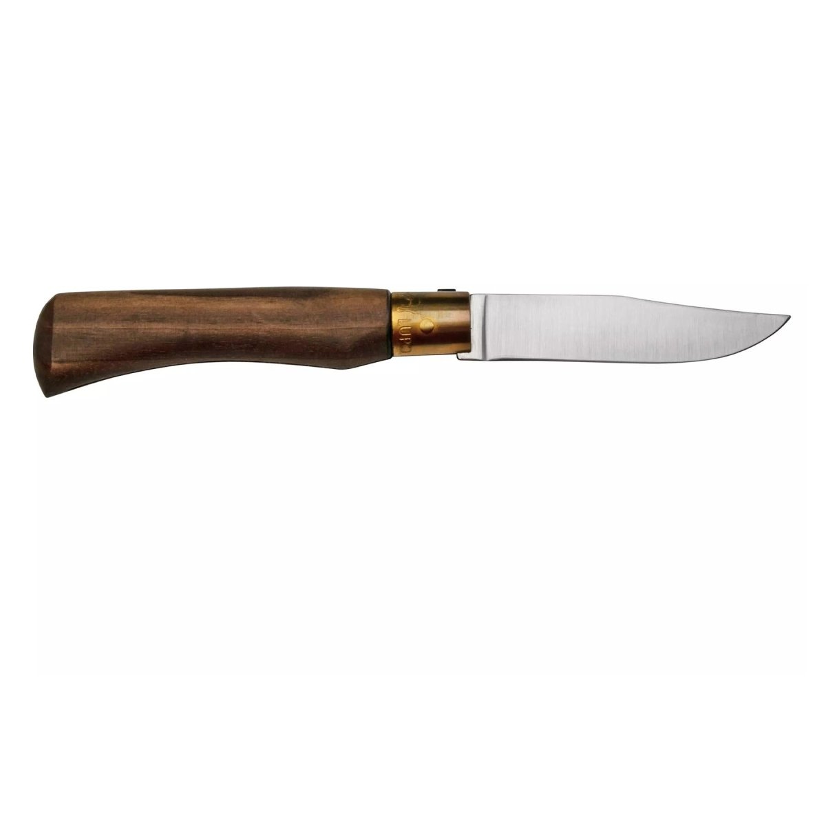 Antonini Old Bear Fickkniv 8cm Carbon C67 Blade Valnöt Wood Handtag