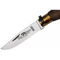Antonini Old Bear Fickkniv 8cm Carbon C67 Blade Valnöt Wood Handtag