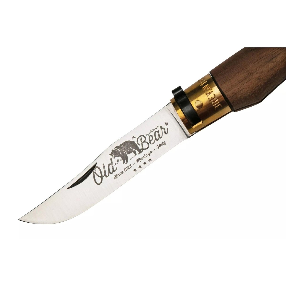 Antonini Old Bear Fickkniv 9cm Rostfritt stål Blad Valnötsträ Handtag
