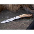 BOKER Caveman Fickkniv i stål 440A obestruket ståldekorerat trähandtag
