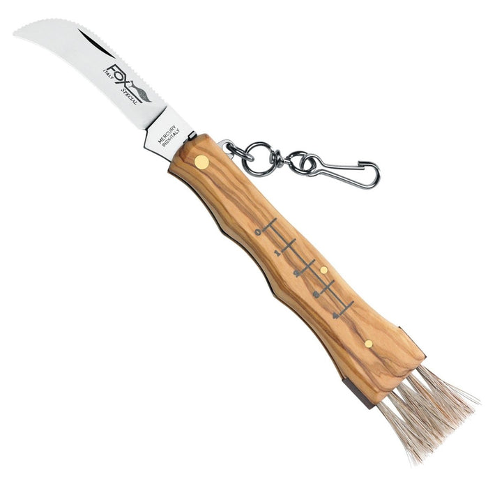 FoxKnives SVAMPKNIV 405 OL Fast svampkniv AISI 420C rostfritt stål - GoMilitar