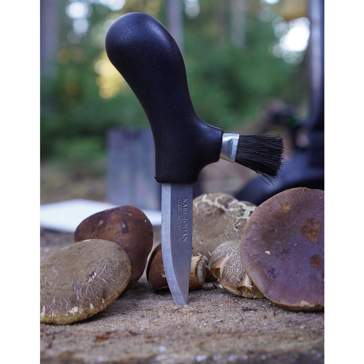 Morakniv Mushroom Picking Knife Fixed återvunnet rostfritt stål Bladborste svart