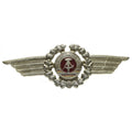 Original Östtysk NVA DDR Army Military Cap Hat Cockade Pin Badge Officer